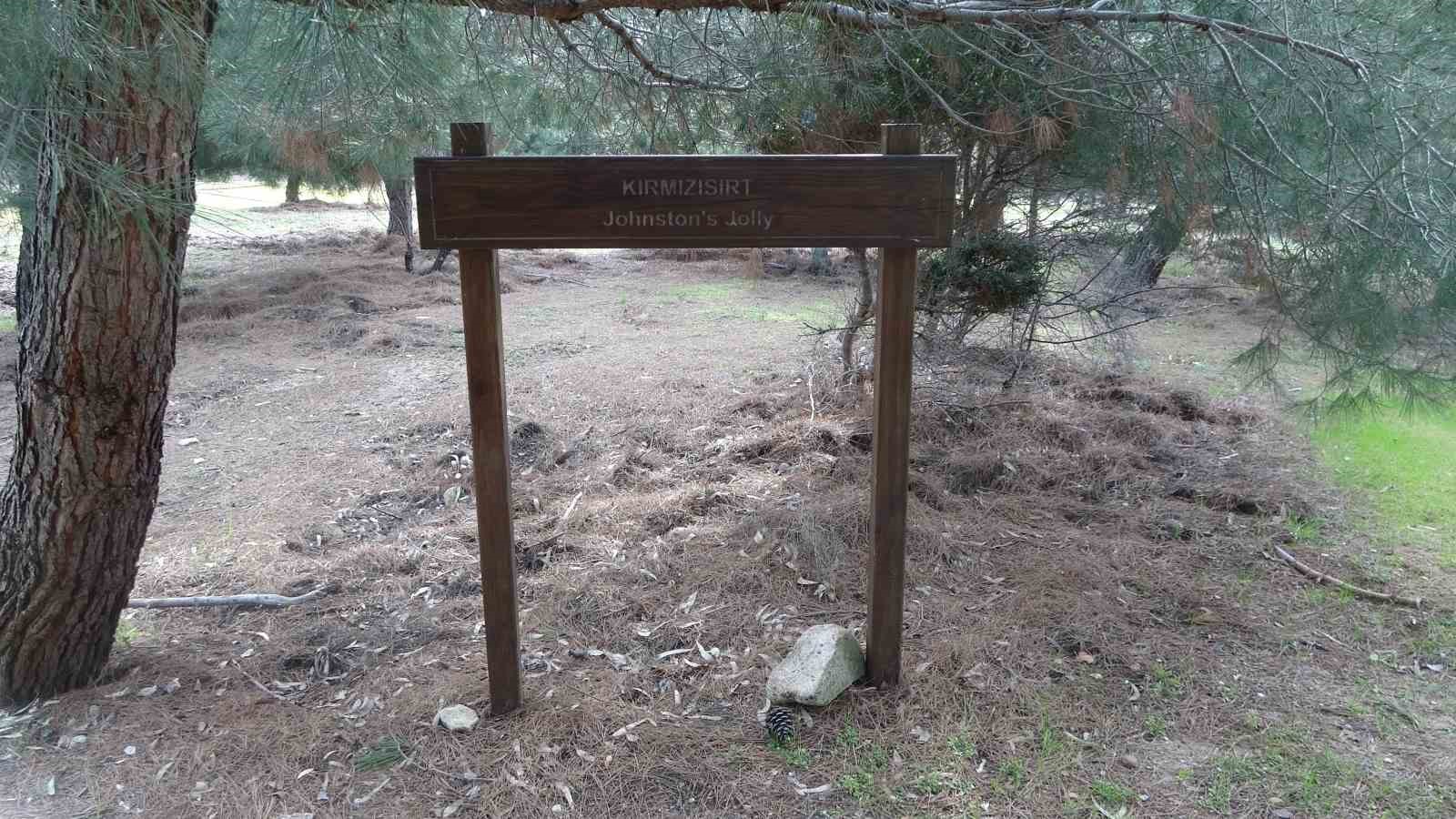 Birinci Dünya Savaşı’ndaki en meşhur Türk askeri fotoğraflarından biri olan fotoğrafın 125. Alay’a ait olduğu ortaya çıktı
