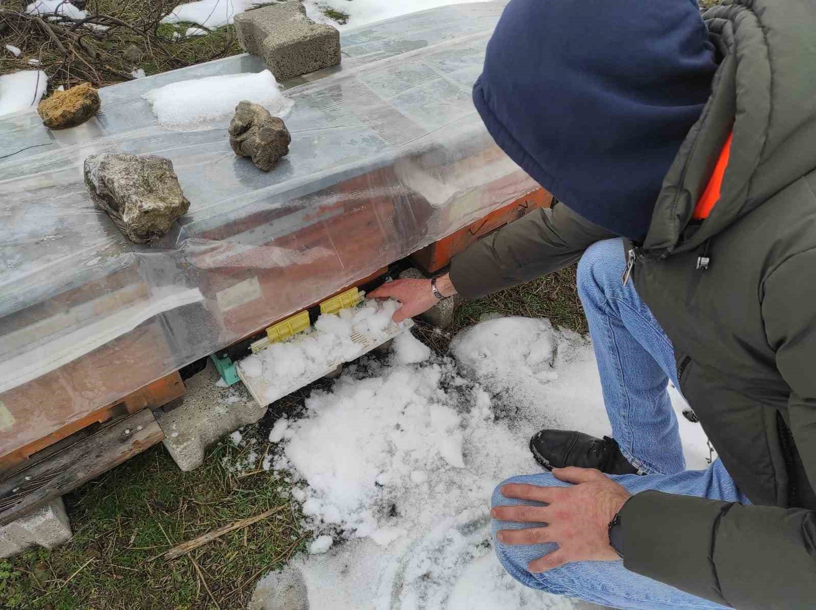 Birincilik getiren arılarını kış şartlarında özenle koruyor
