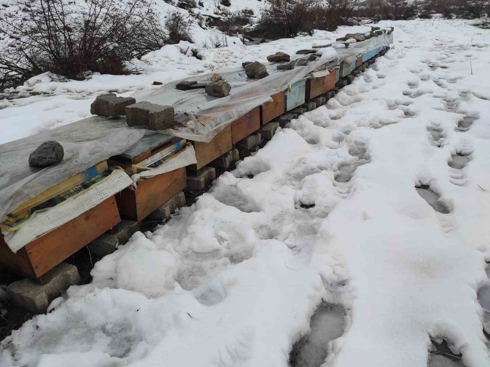 Birincilik getiren arılarını kış şartlarında özenle koruyor
