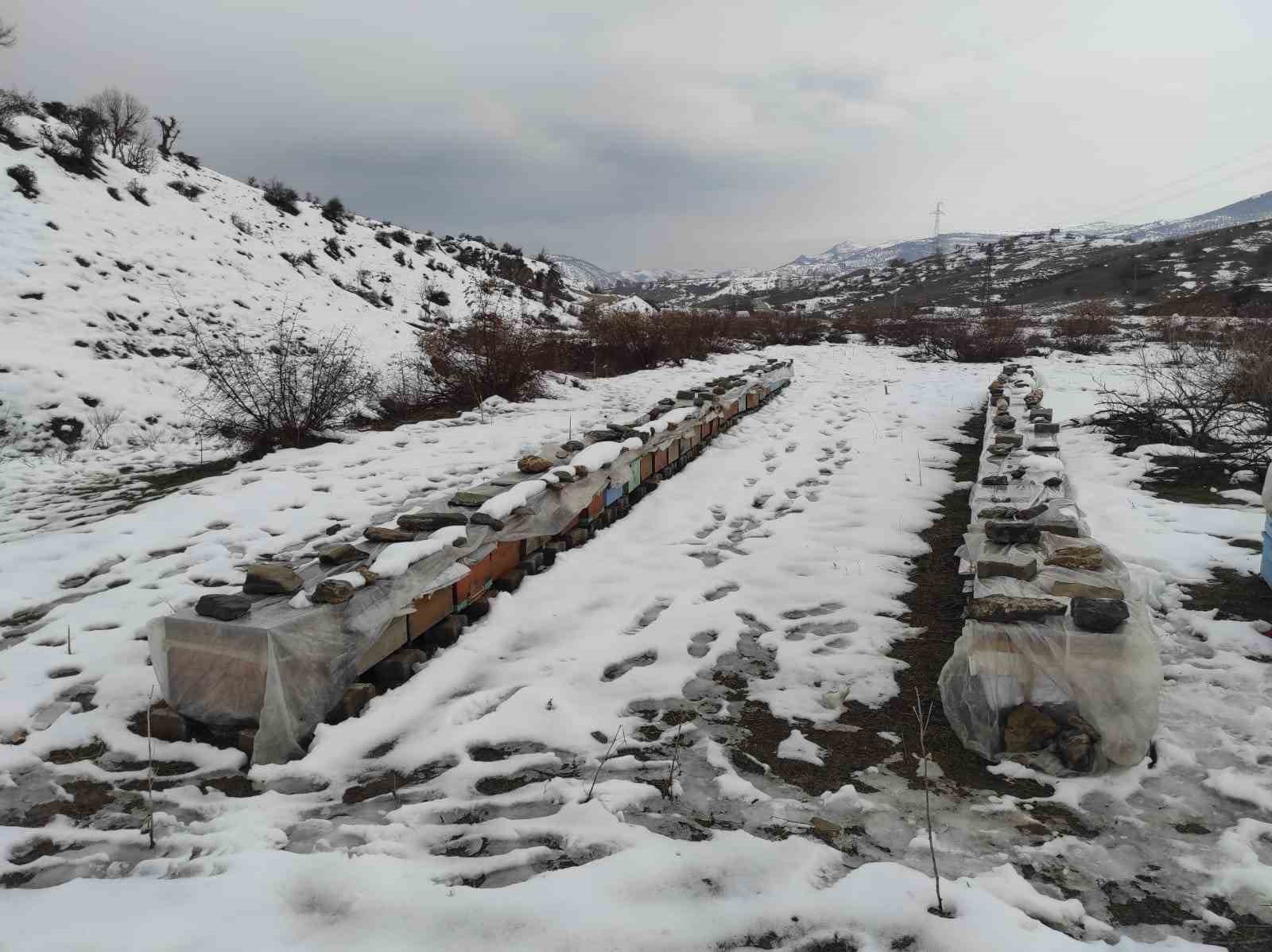 Birincilik getiren arılarını kış şartlarında özenle koruyor
