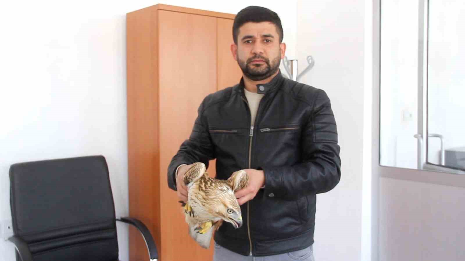 Bitkin haldeki kızıl şahini DKMP ekiplerine teslim ettiler
