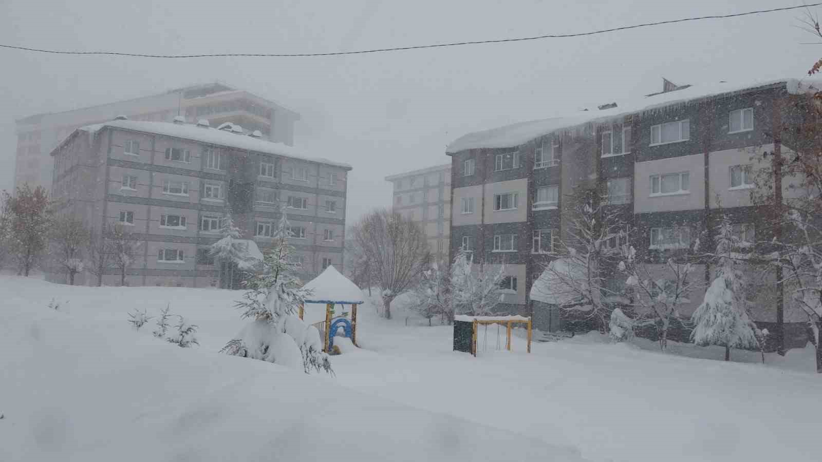 Bitlis kara gömüldü, 335 köy yolu kapalı
