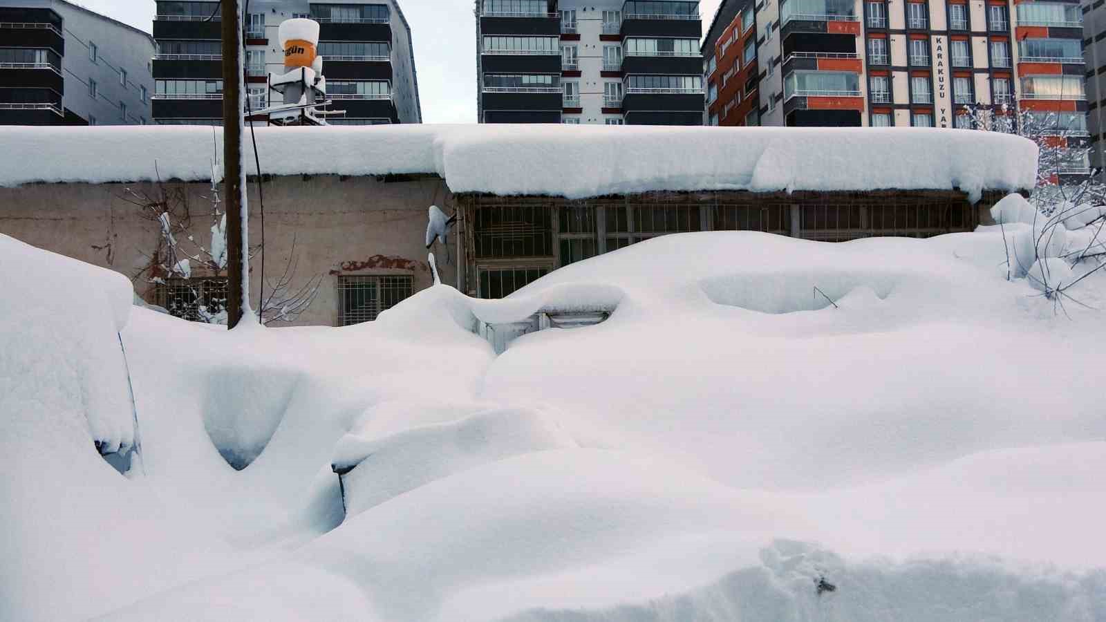 Bitlis mart ayında kara gömüldü
