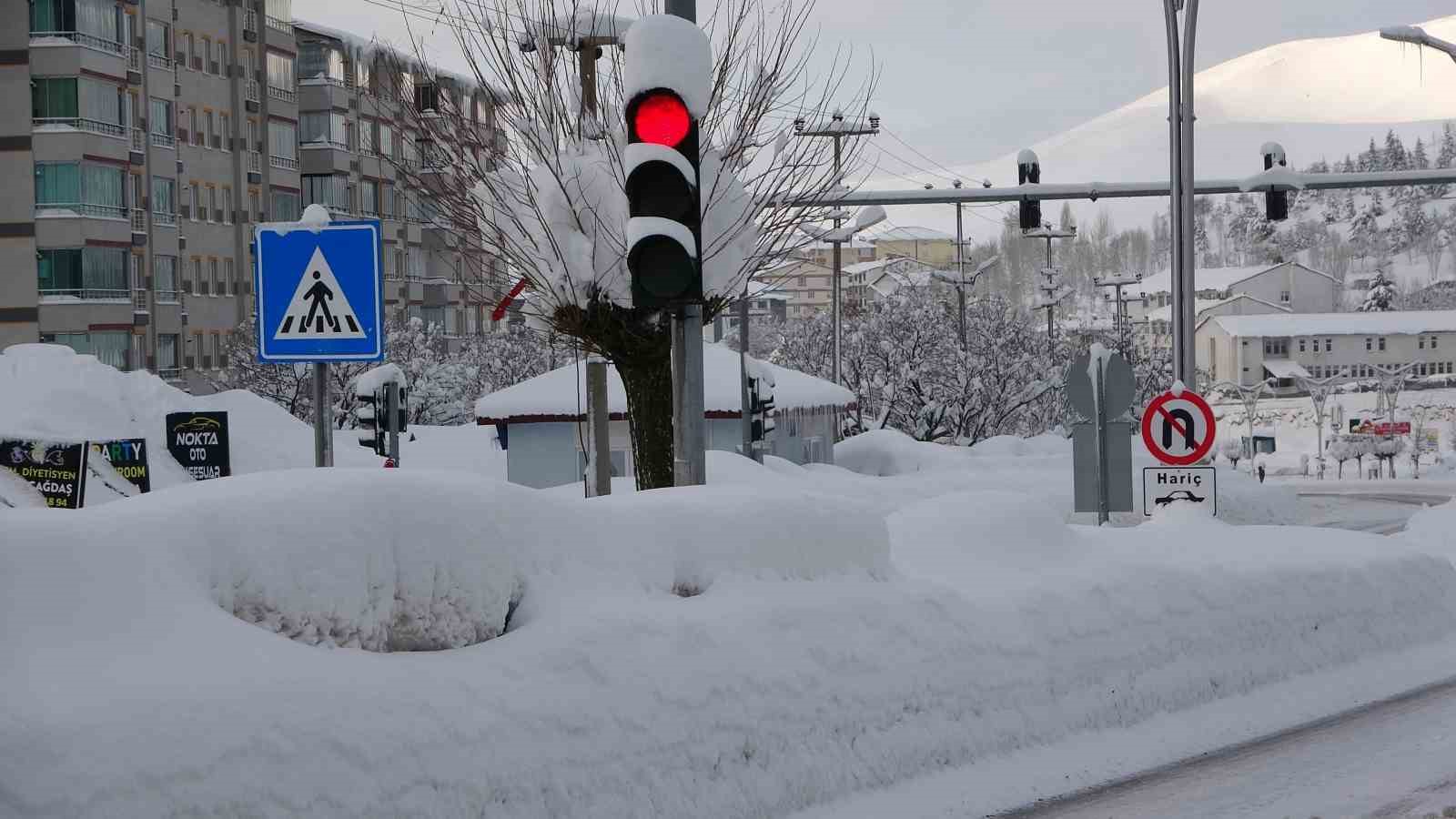 Bitlis mart ayında kara gömüldü
