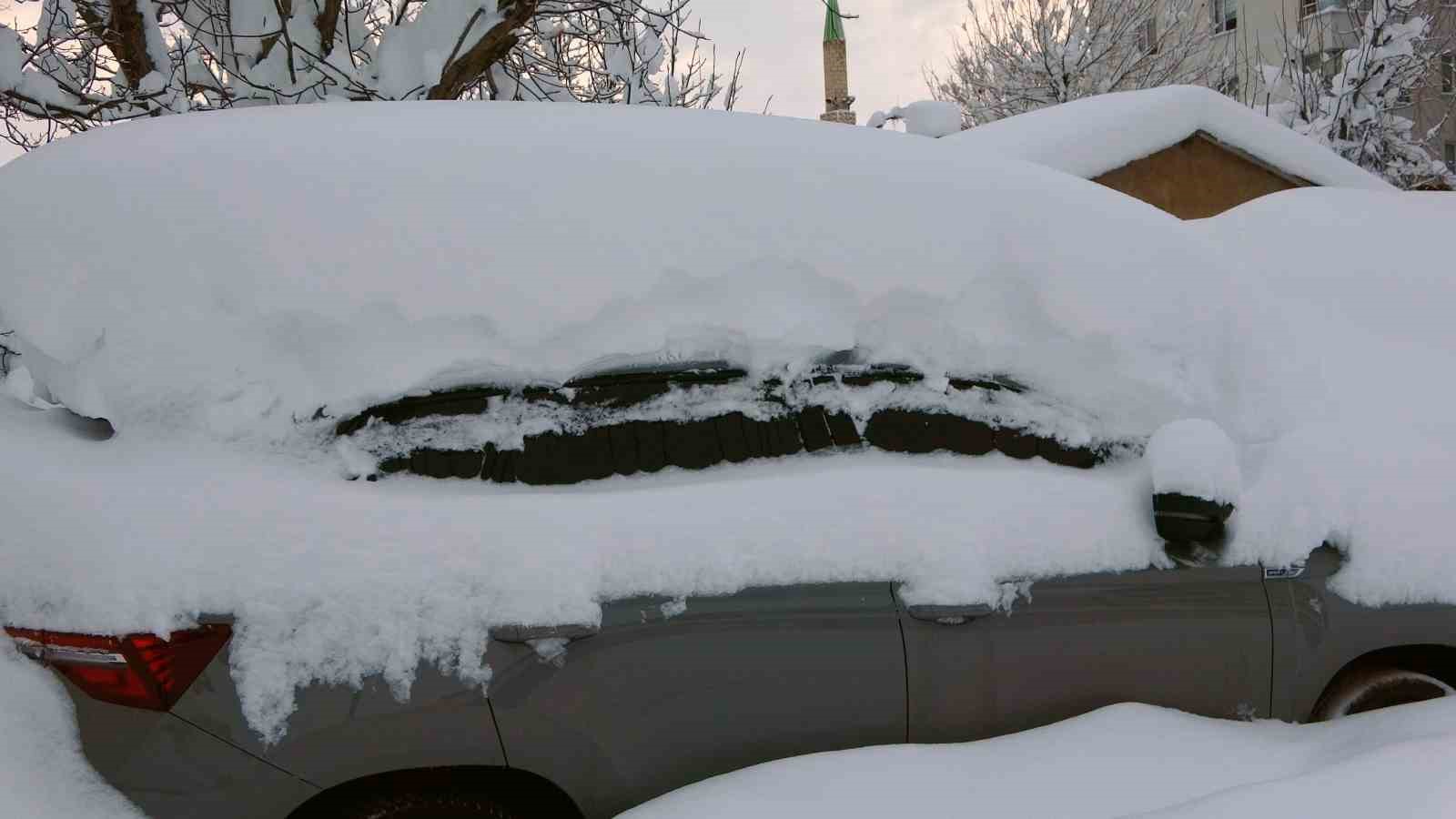Bitlis mart ayında kara gömüldü

