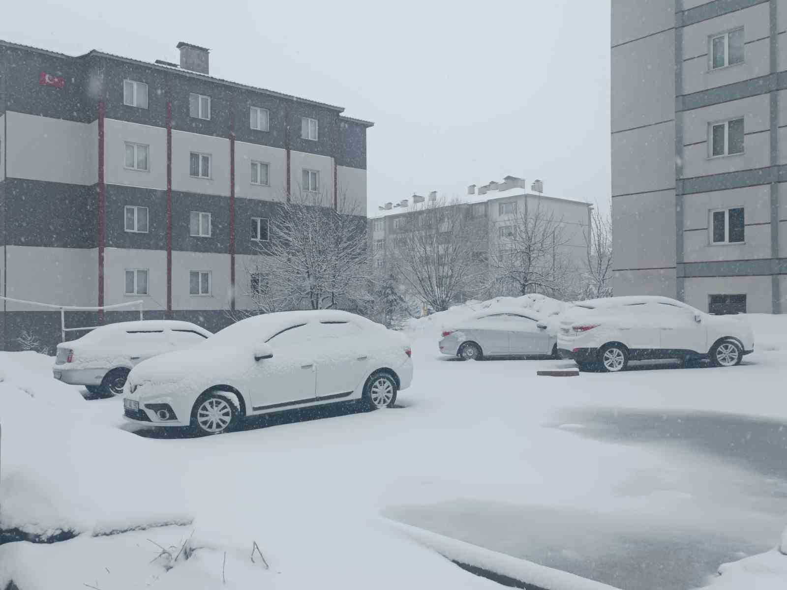 Bitlis nisan ayında yeniden beyaza büründü
