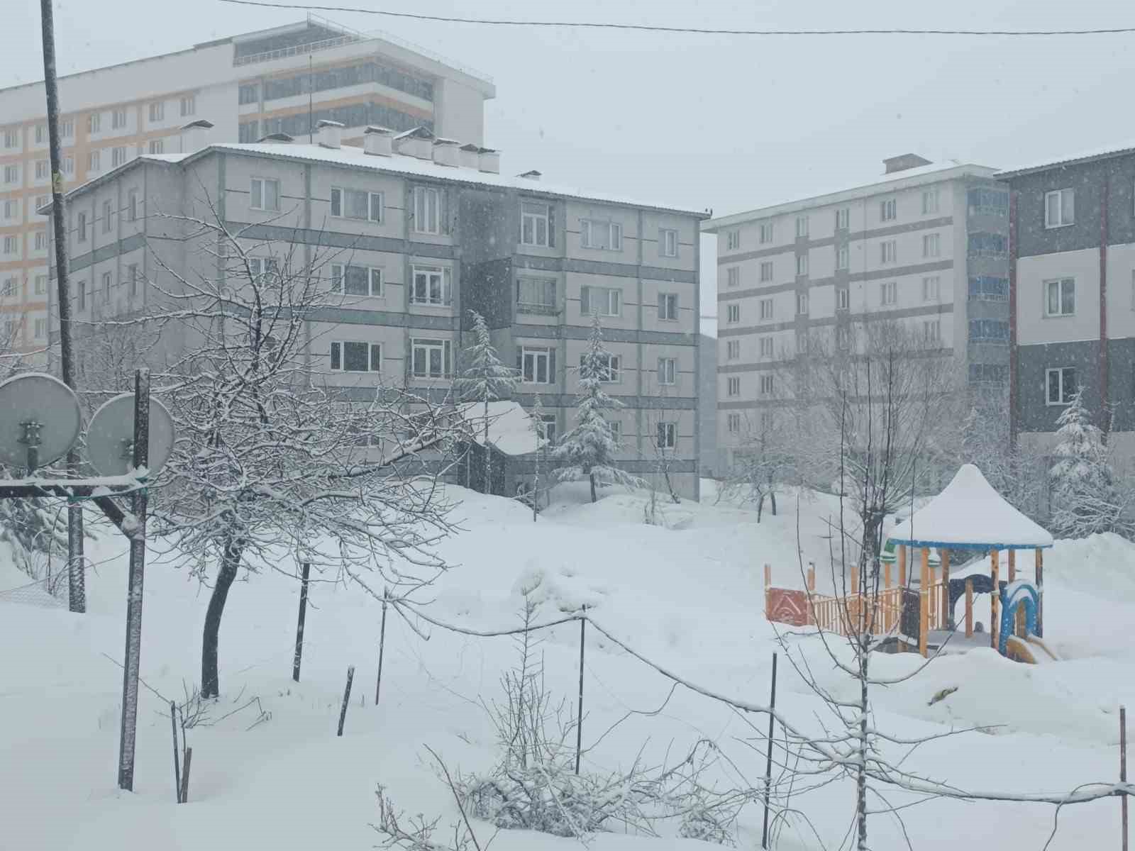 Bitlis nisan ayında yeniden beyaza büründü

