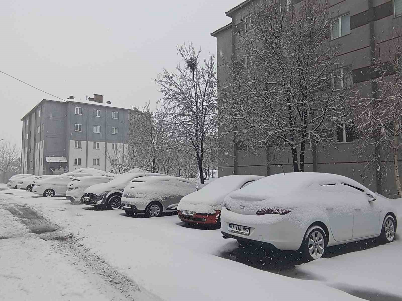 Bitlis nisan ayında yeniden beyaza büründü

