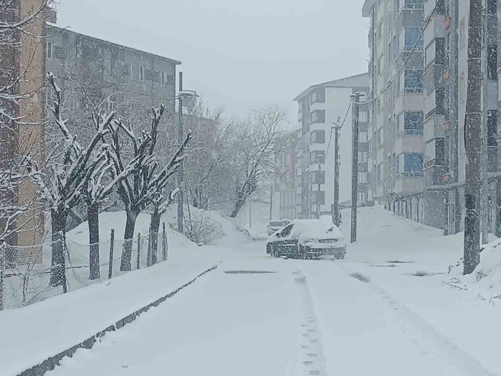 Bitlis nisan ayında yeniden beyaza büründü
