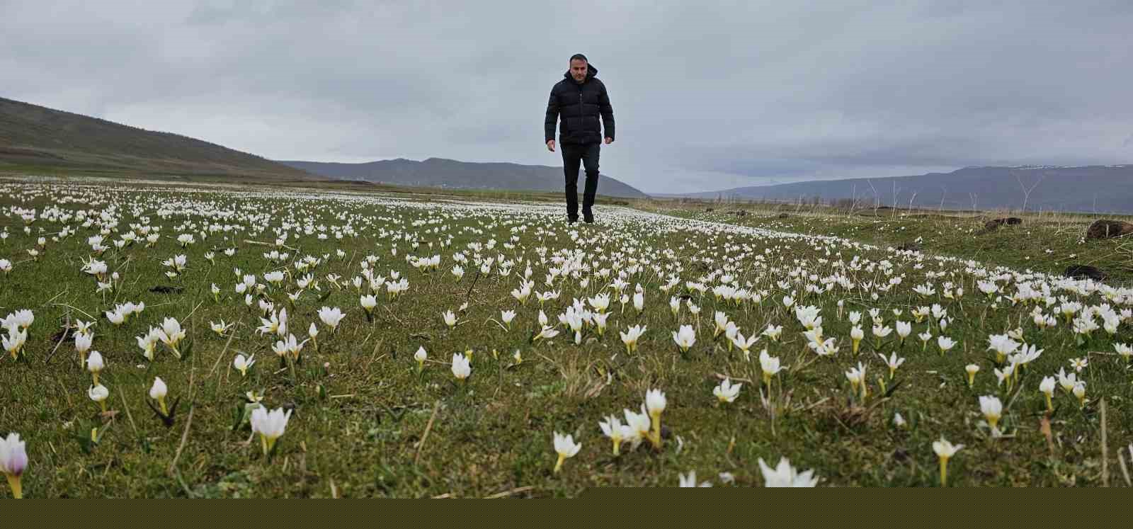 Bitlis’te baharın müjdecisi kardelenler açtı
