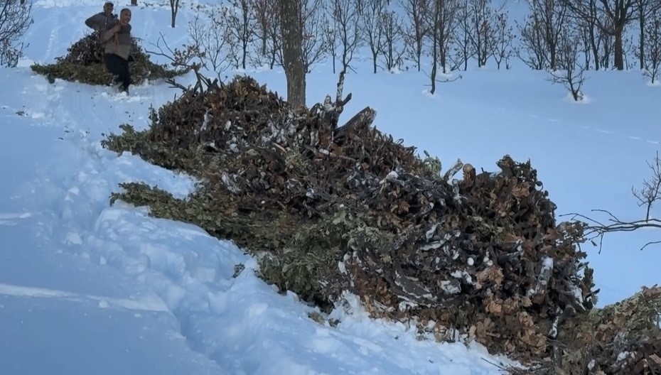 Bitlis’te hayvanlar için kızaklı yem mesaisi
