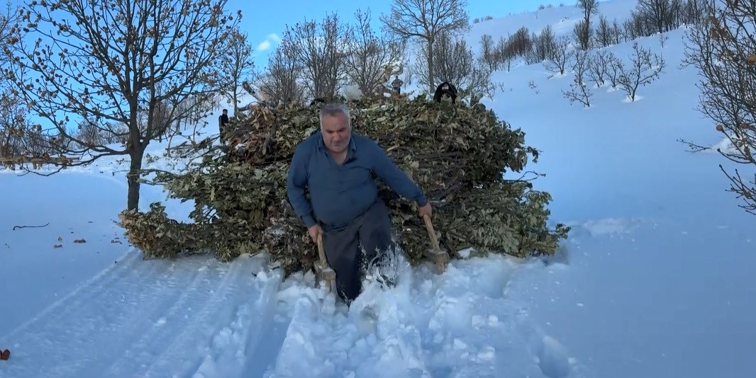 Bitlis’te hayvanlar için kızaklı yem mesaisi
