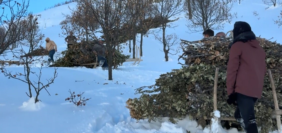 Bitlis’te hayvanlar için kızaklı yem mesaisi
