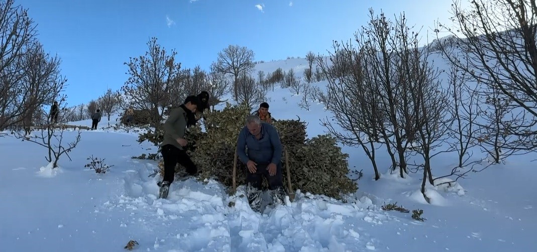Bitlis’te hayvanlar için kızaklı yem mesaisi
