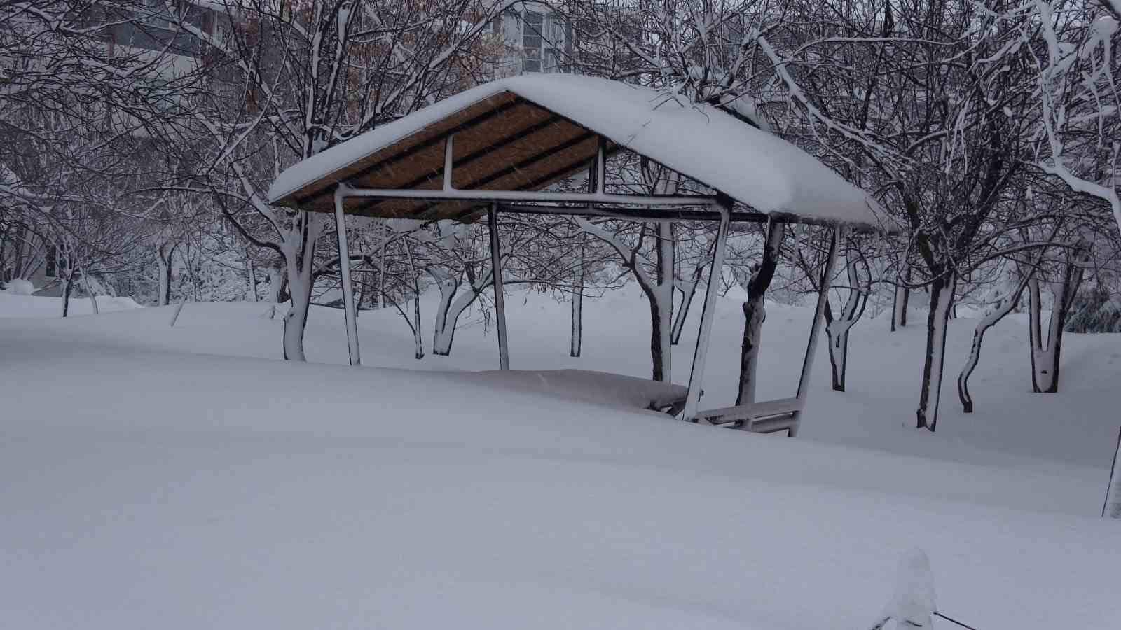 Bitlis’te kar esareti, 229 köy yolu ulaşıma kapalı
