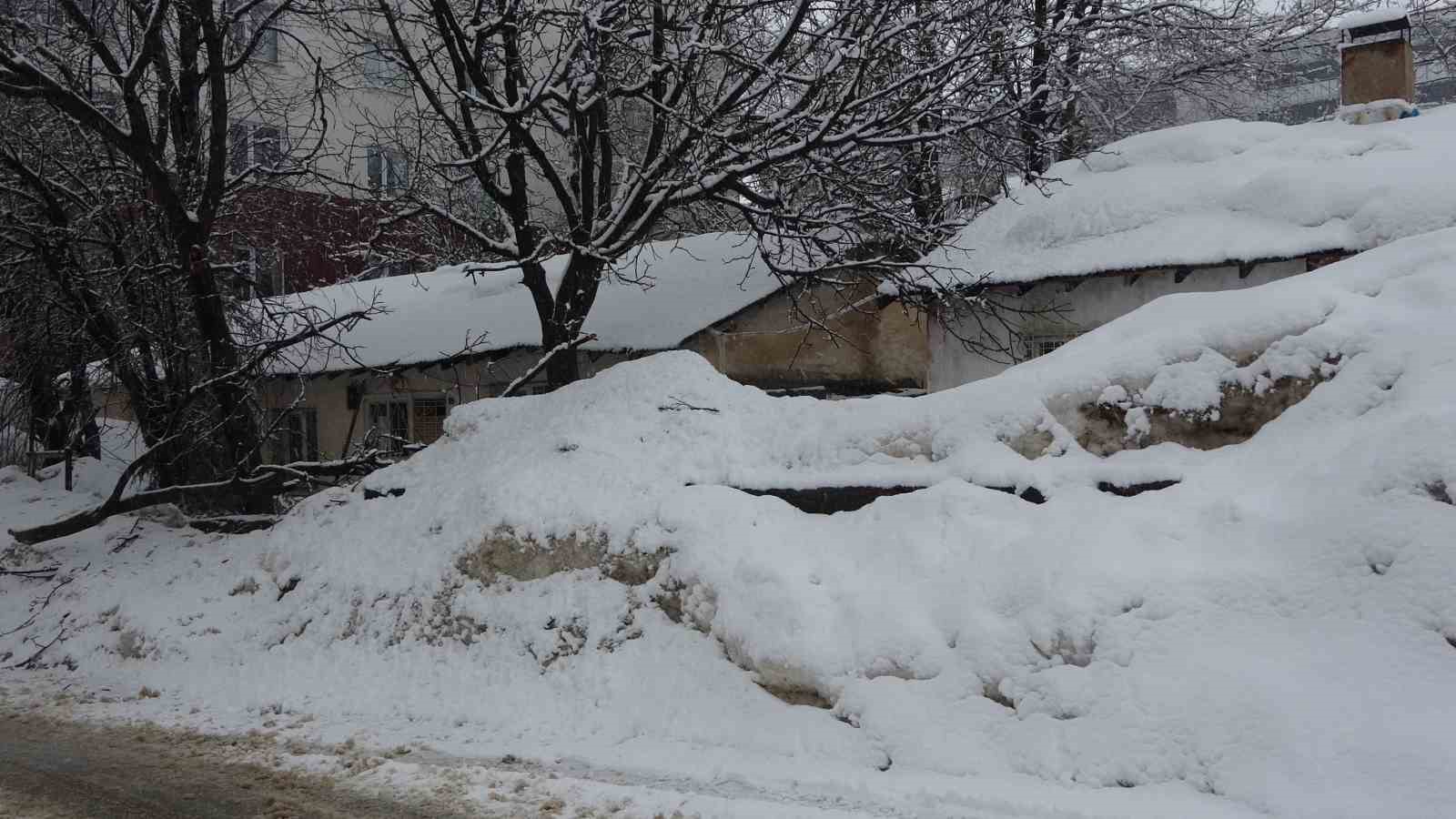 Bitlis’te kar mesaisi
