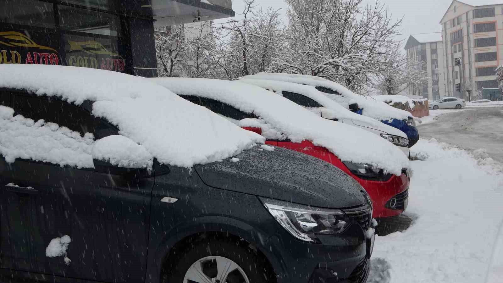 Bitlis’te kar mesaisi
