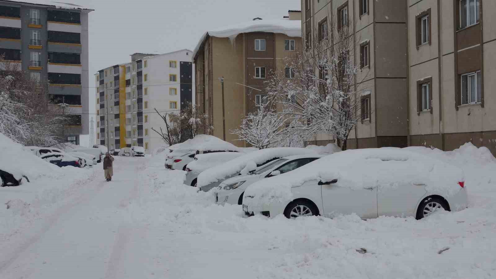 Bitlis’te kar yağışı yeniden etkili oldu
