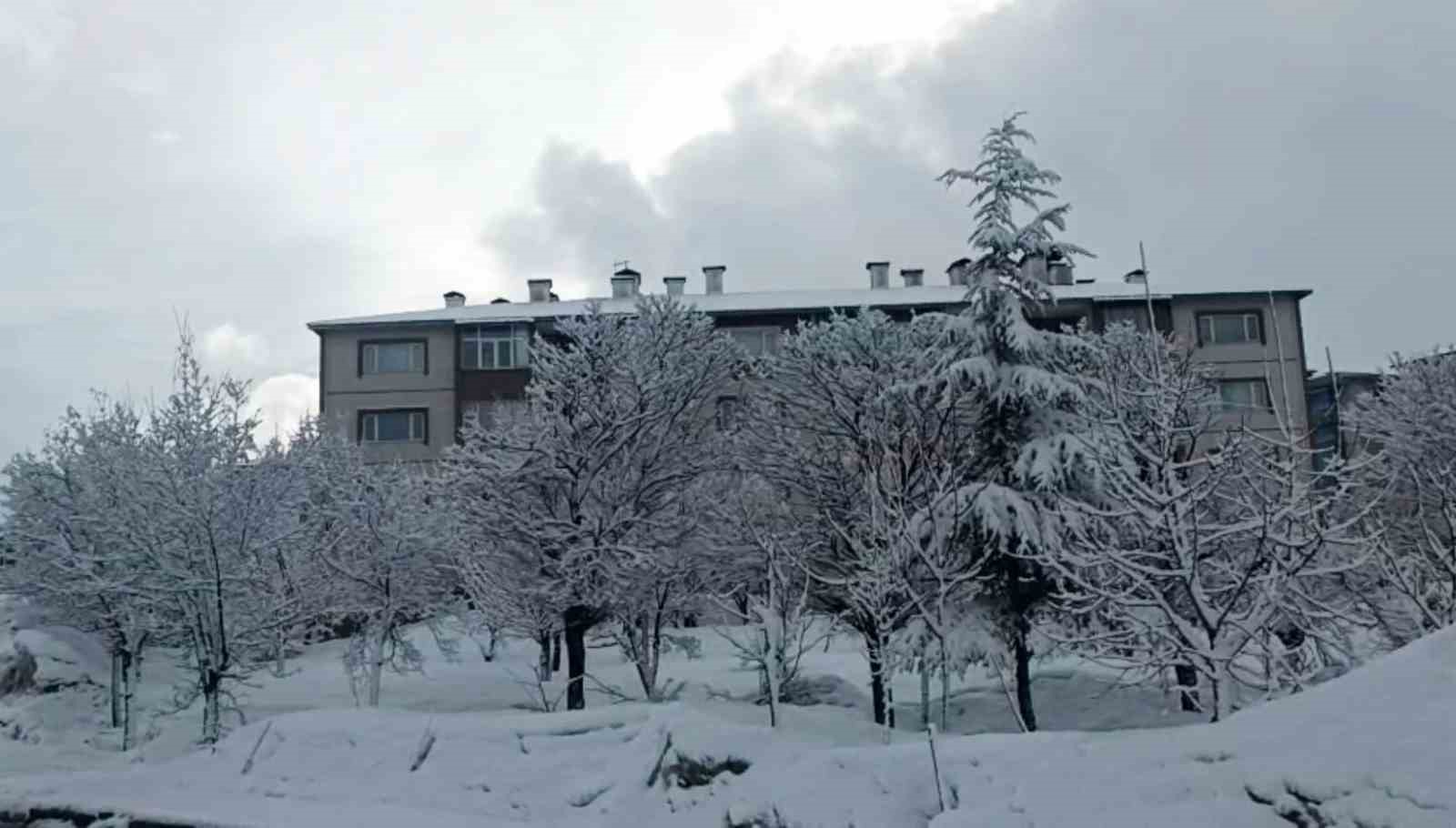 Bitlis’te kar yağışı
