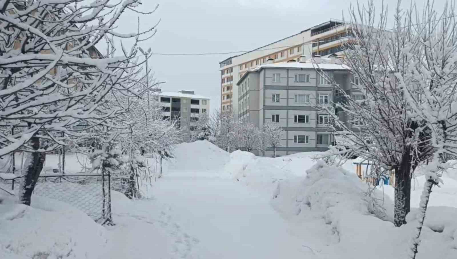 Bitlis’te kar yağışı
