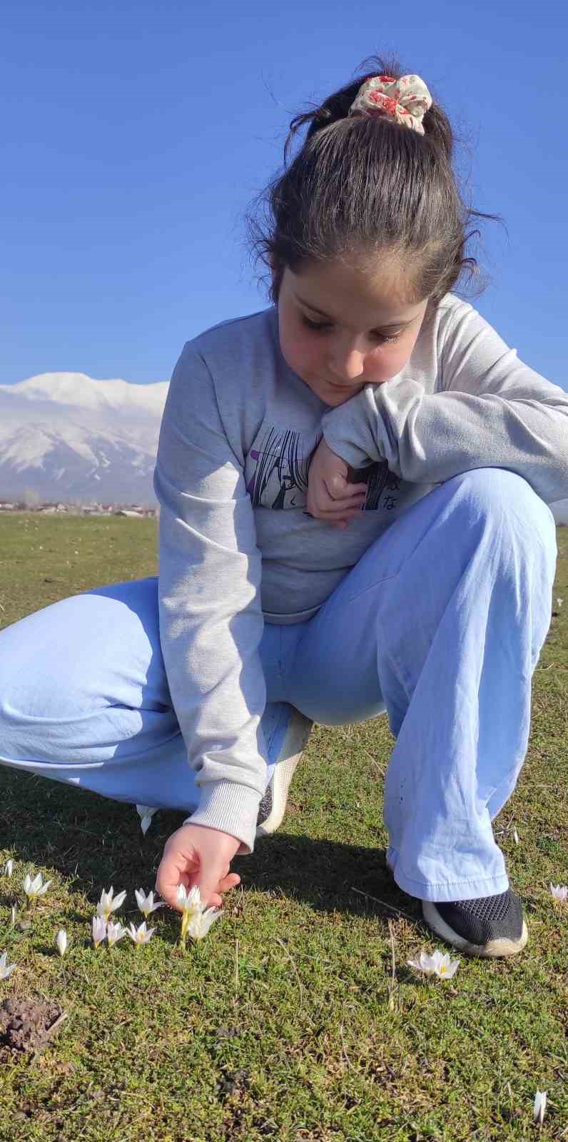 Bitlis’te kardelen ve çiğdemler açtı
