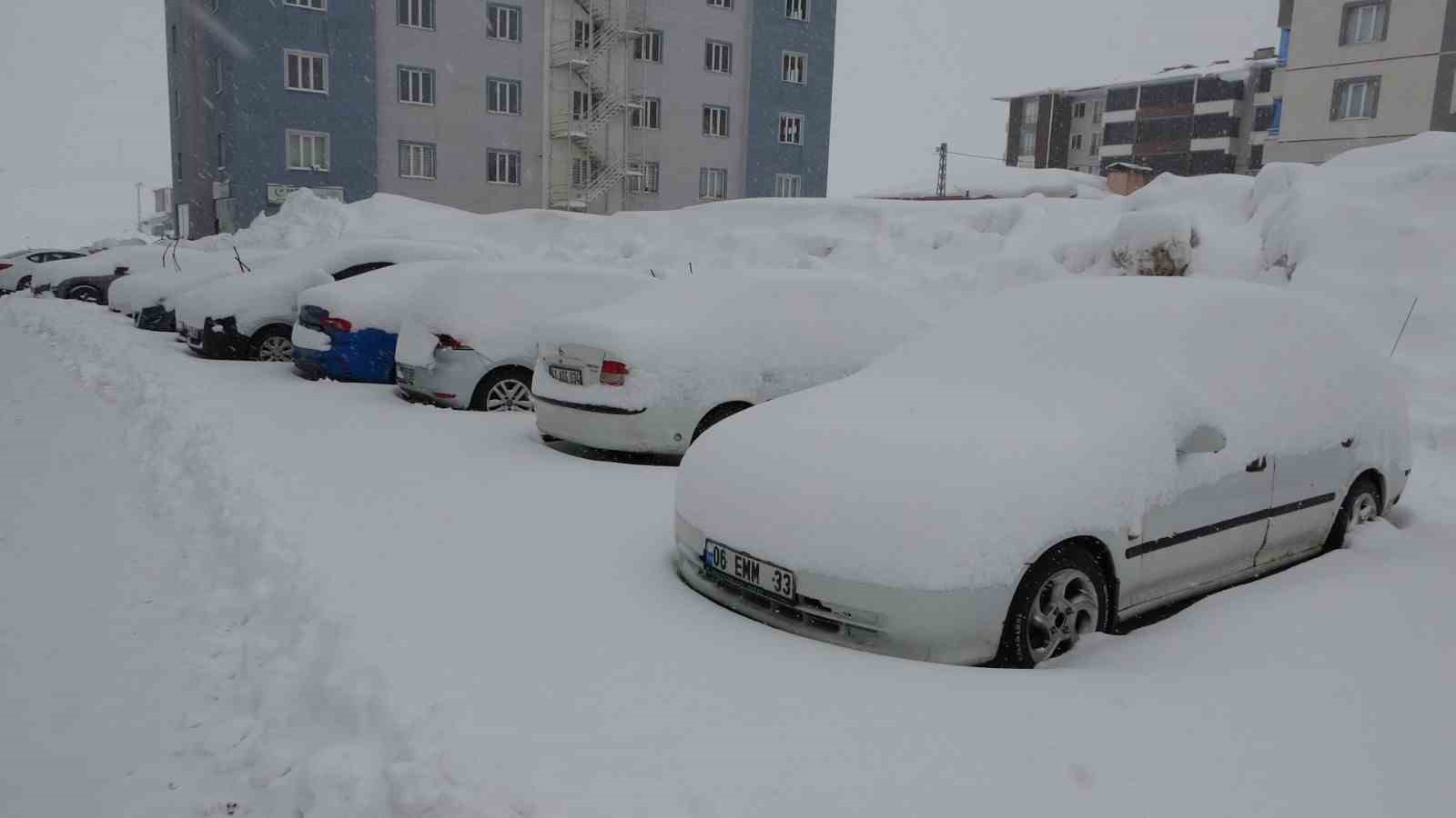 Bitlis’te mart karı 288 köy yolu ulaşıma kapattı
