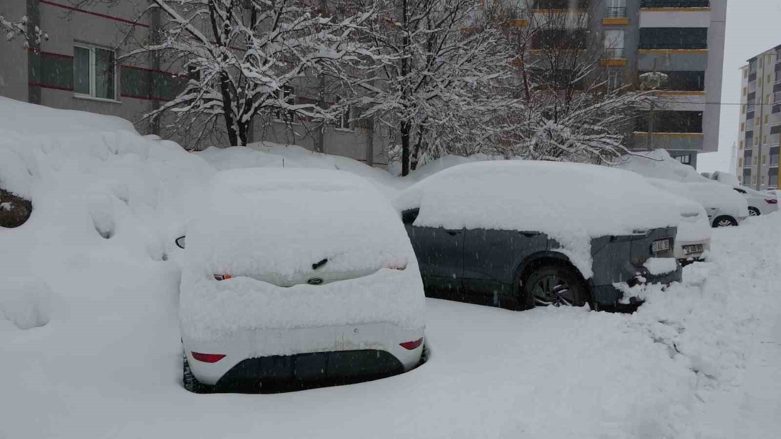 Bitlis’te mart karı 288 köy yolu ulaşıma kapattı
