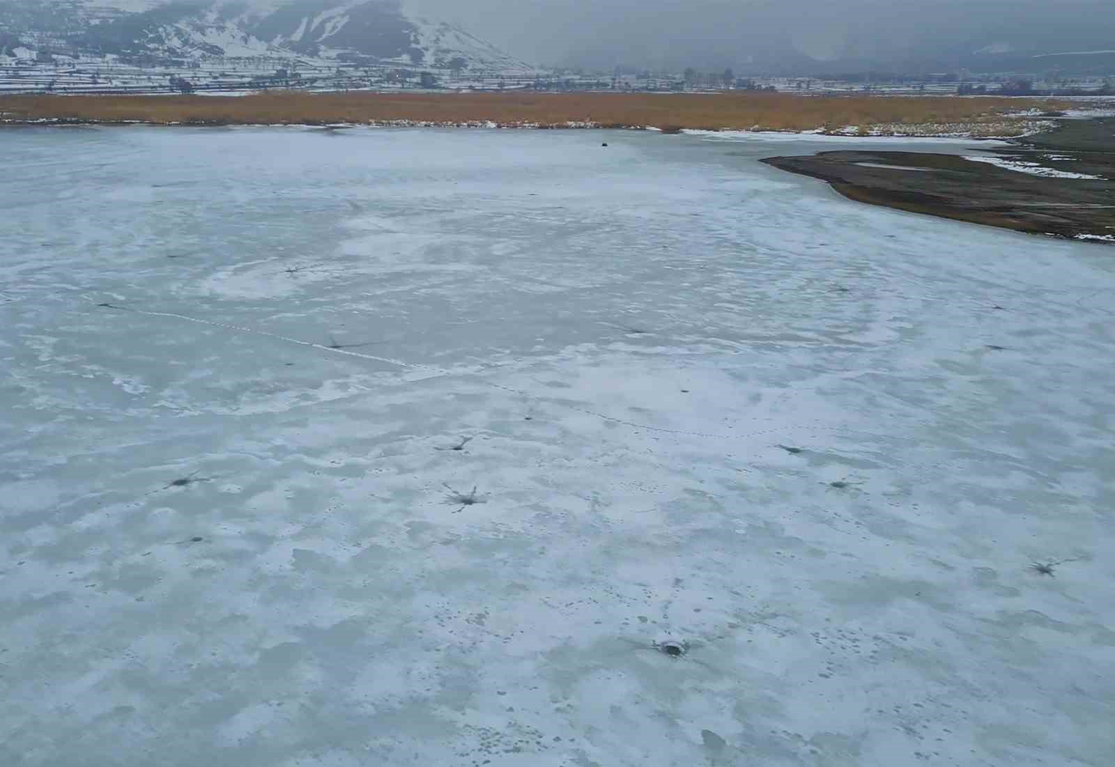 Bitlis’te sazlıklar dondu, kuşlar gölde toplandı
