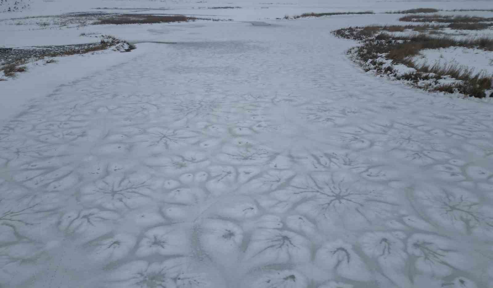 Bitlis’te tüm göller buz tuttu
