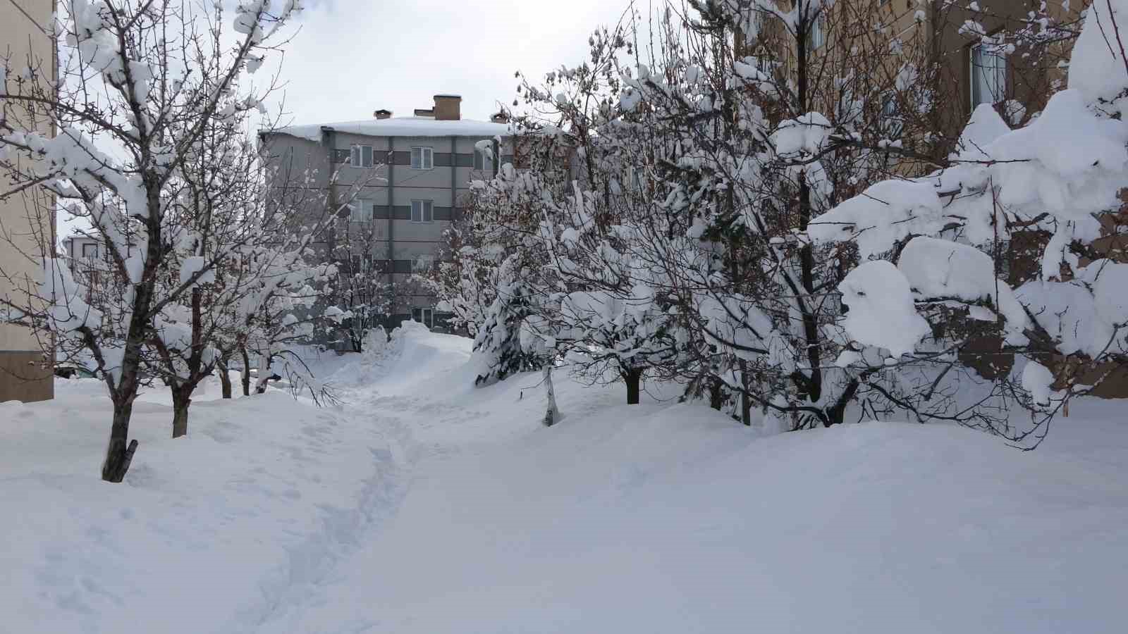 Bitlis’te yoğun karla mücadele çalışması
Bitlis’te yoğun karla mücadele çalışması