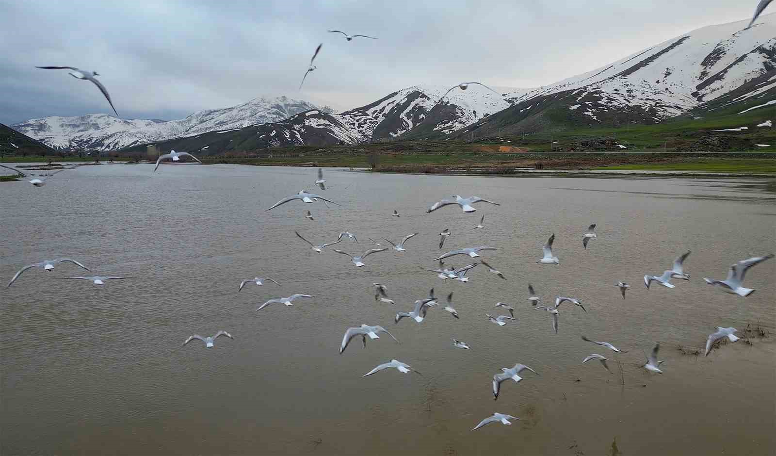 Bitlis’teki Güzeldere Menderesleri adeta doğal göl oldu
