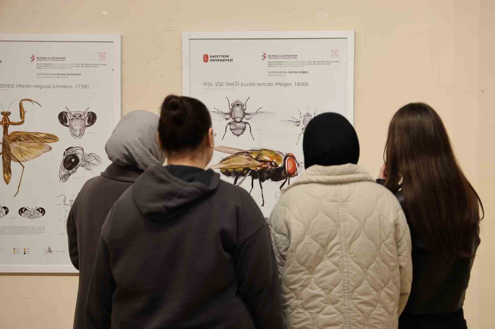 Böceklerin dünyası bilim ve sanatla anlatıldı
