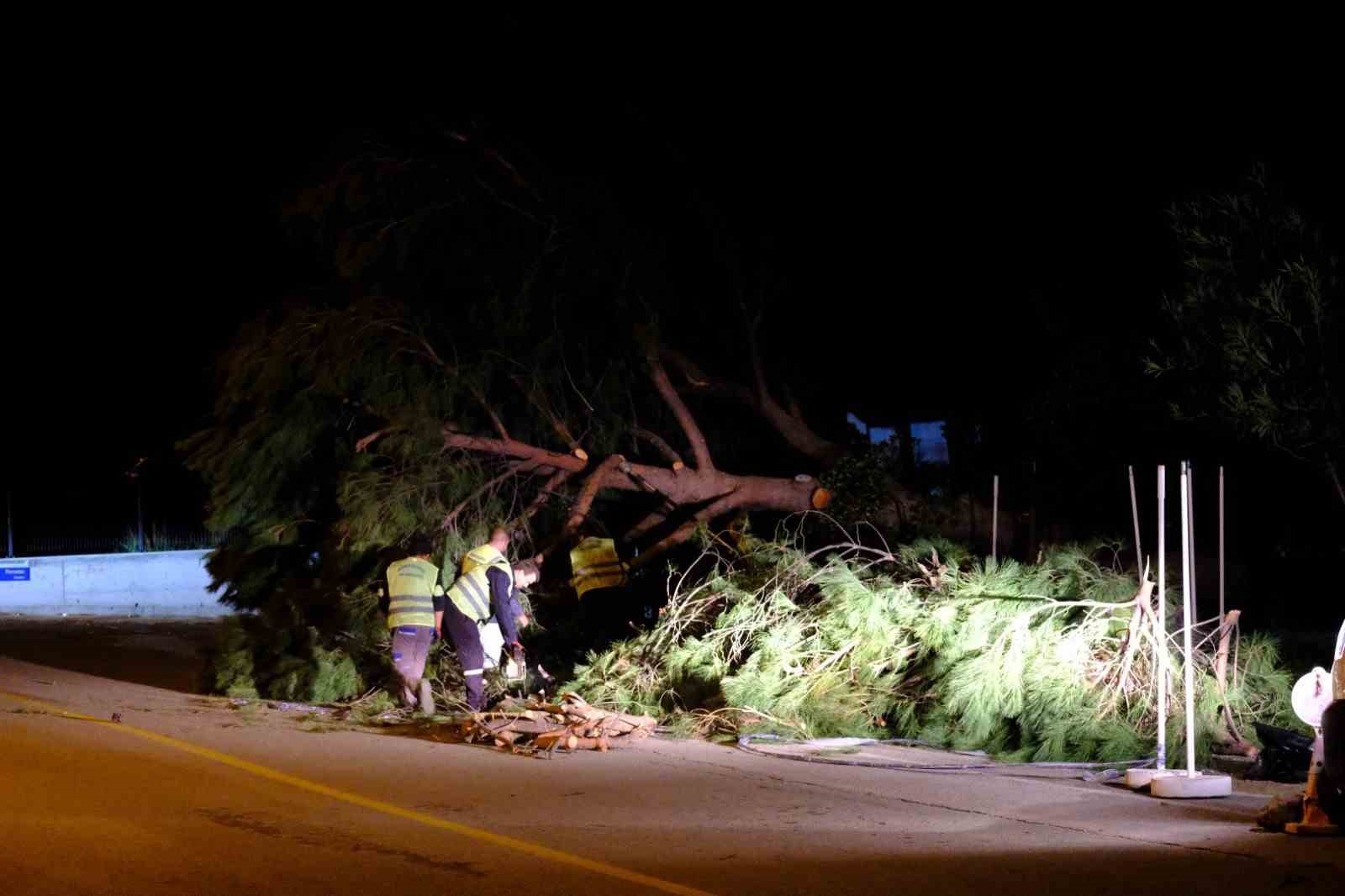 Bodrum Belediyesi fırtına dinlemedi
