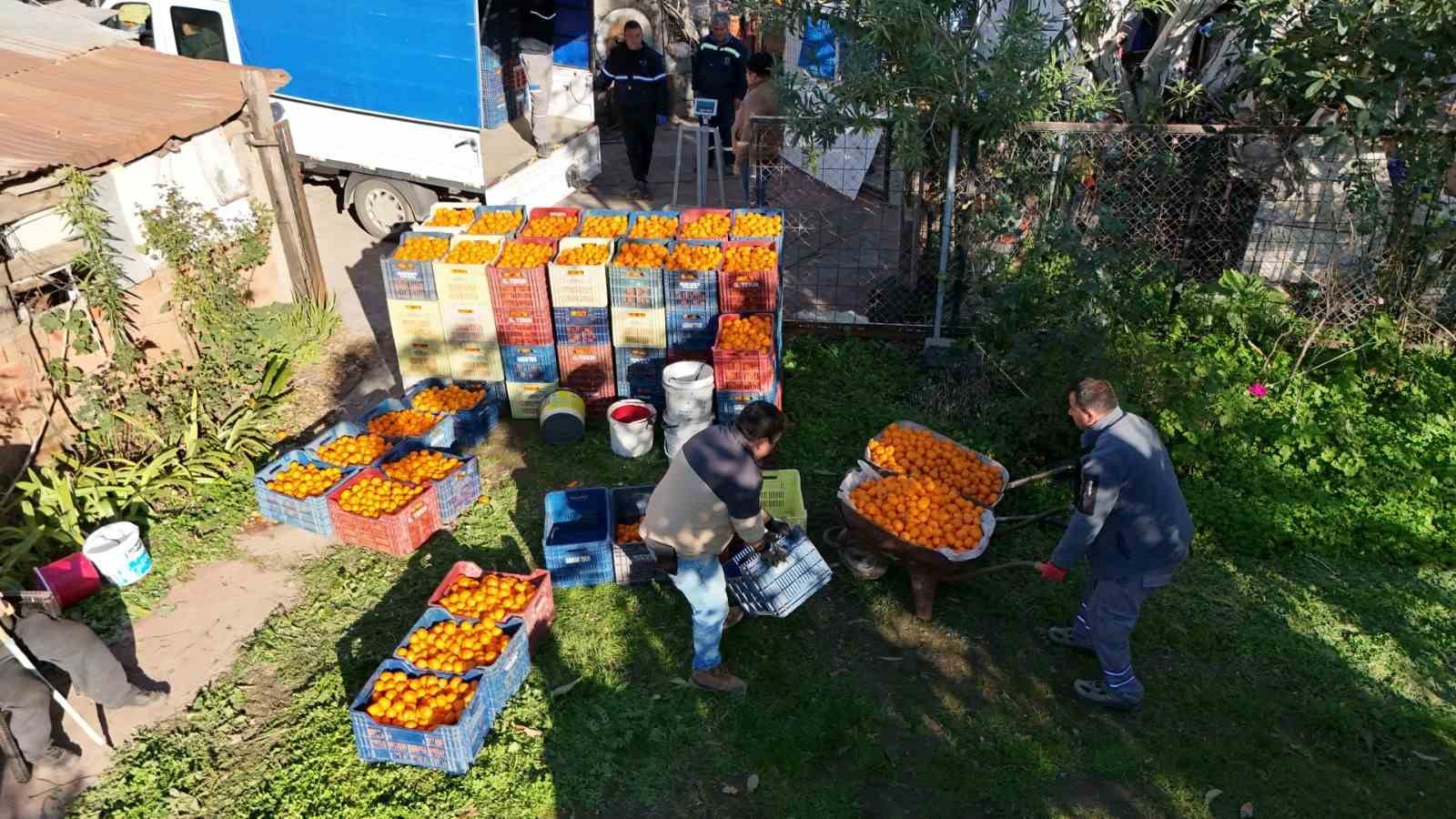 Bodrum Mandalini Türkiye’nin dört bir yanına ulaşıyor
