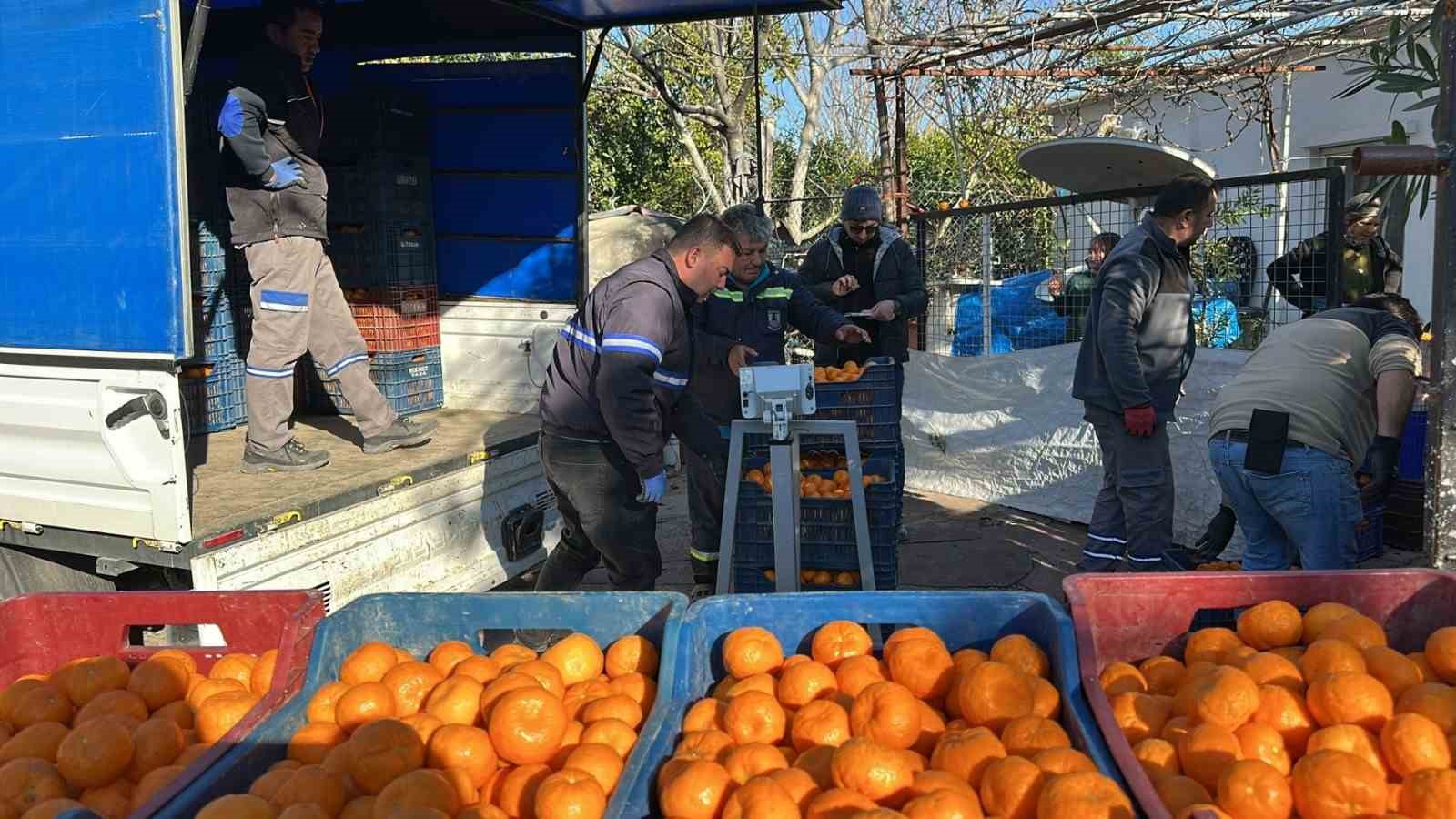 Bodrum Mandalini Türkiye’nin dört bir yanına ulaşıyor
