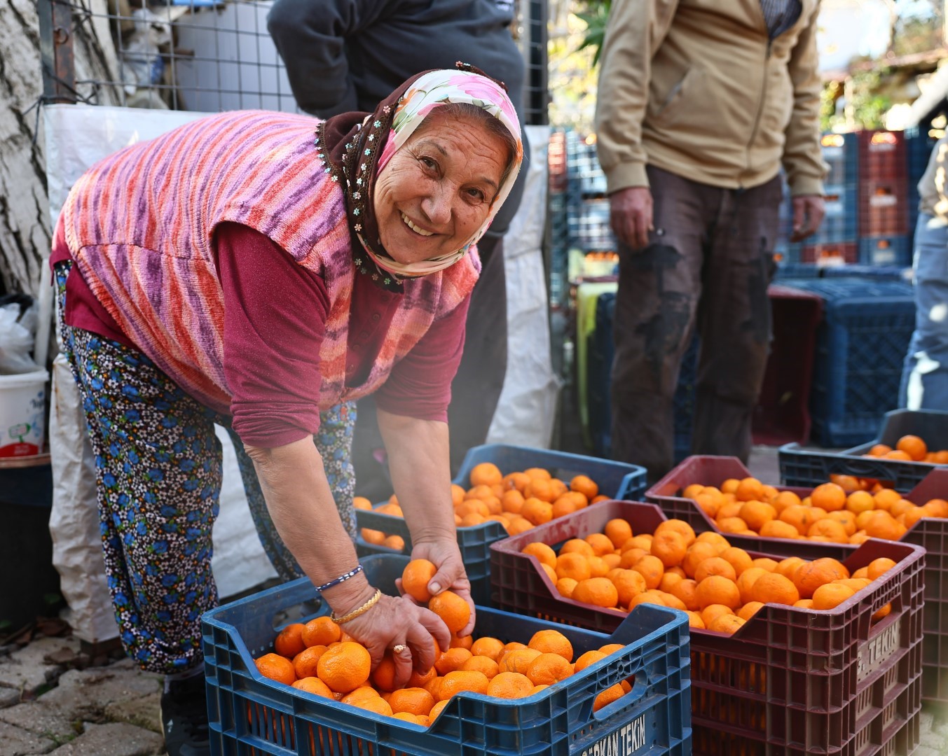 Bodrum Mandalini Türkiye’nin dört bir yanına ulaşıyor
