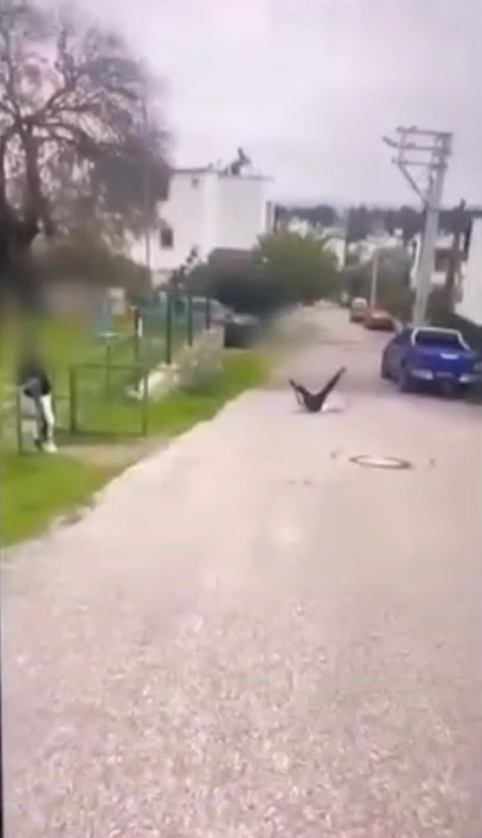 Bodrum’da akran zorbalığı: Çocuğu feci şekilde darbederek bayılttı
