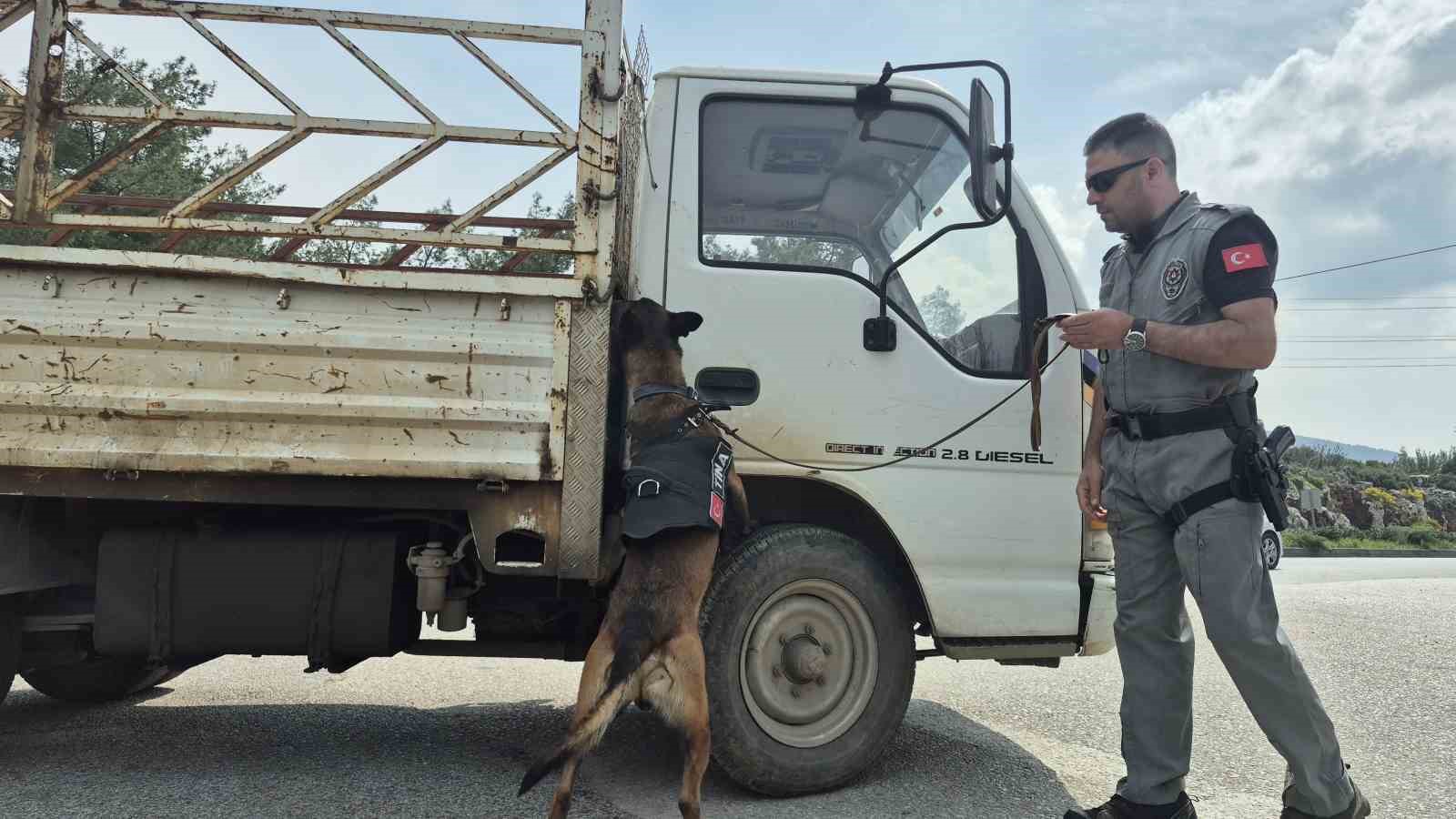 Bodrum’da bayram denetimleri sıkı: 1 günde 25 bin araç girdi
