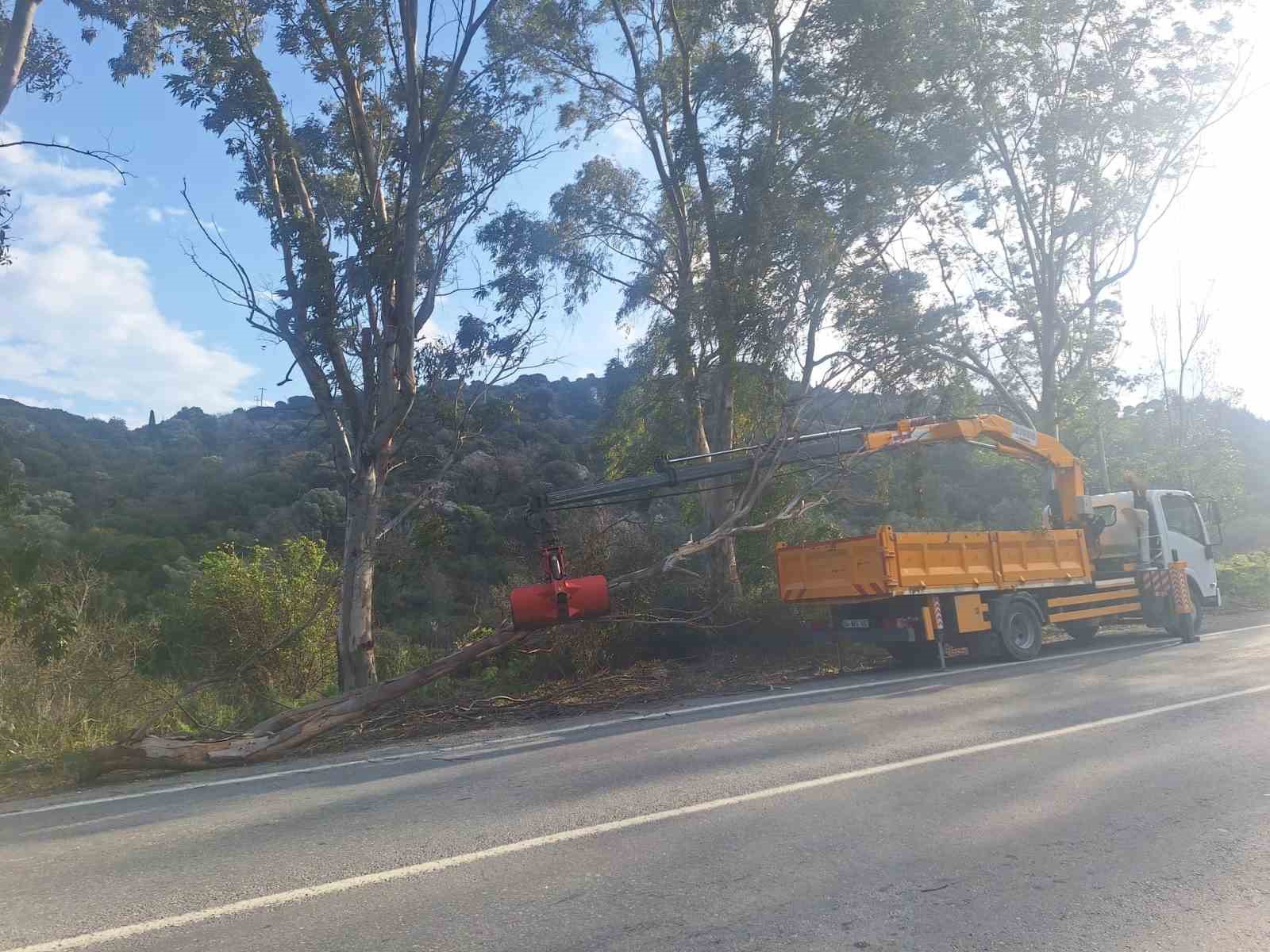 Bodrum’da fırtına ağaçları devirdi
