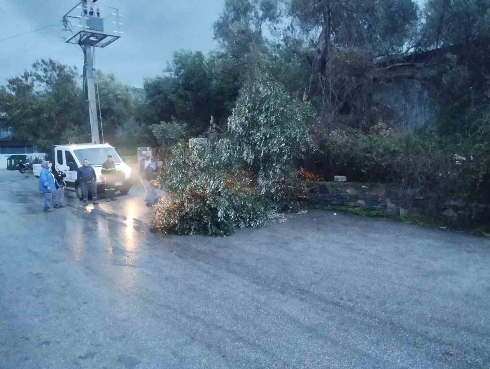 Bodrum’da fırtına etkili oldu
