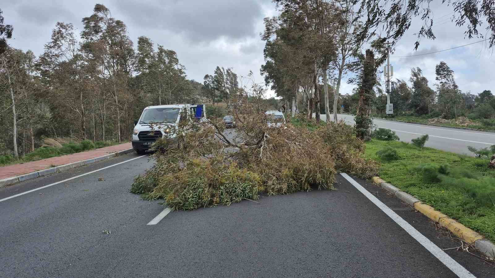 Bodrum’da fırtına etkili oluyor
