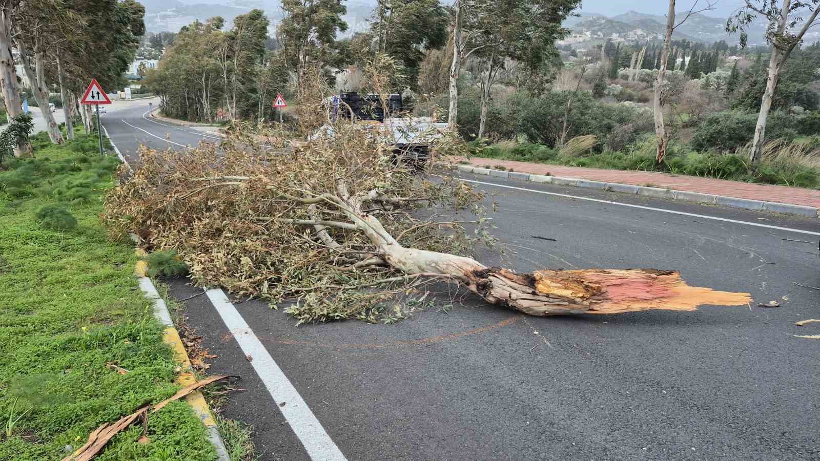 Bodrum’da fırtına etkili oluyor
