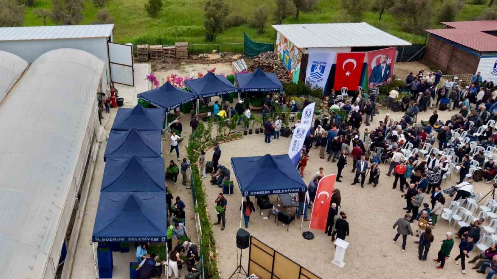 Bodrum’da yazlık fideler üreticilere dağıtıldı
