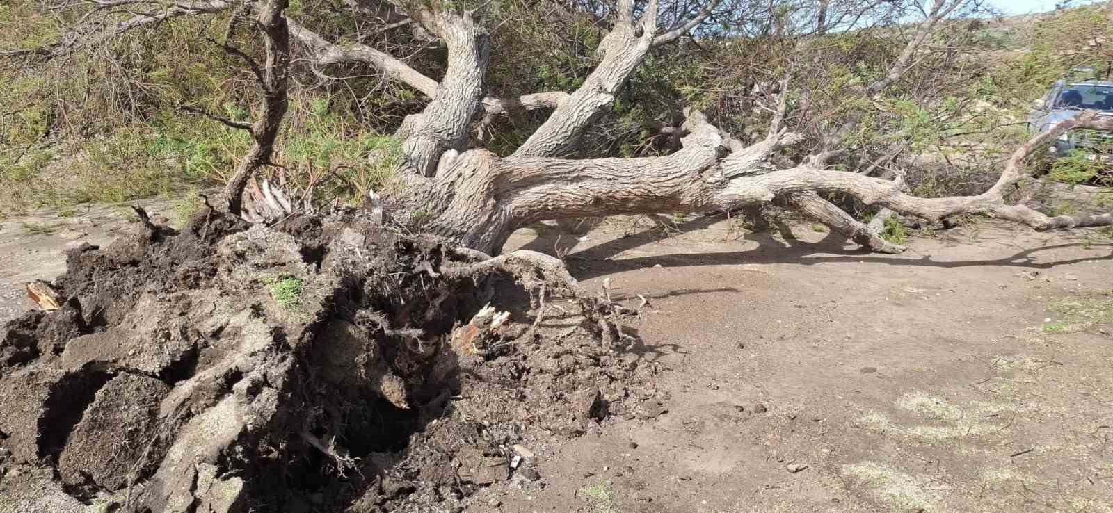 Bodrum’u kuvvetli fırtına vurdu
