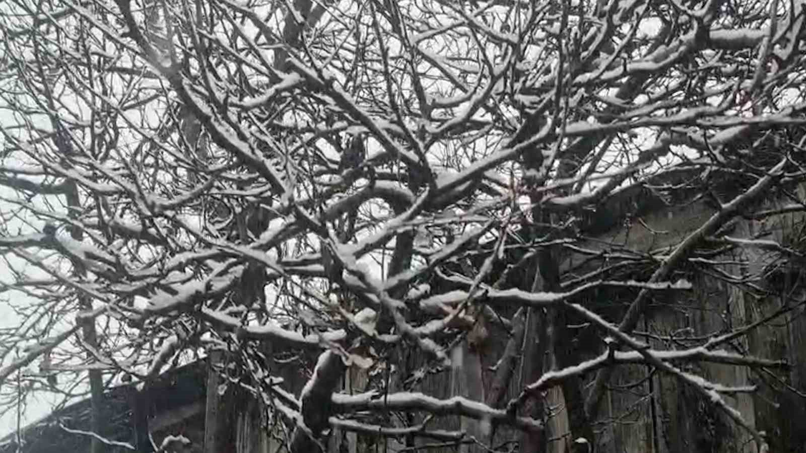 Bolu güne karla uyandı
