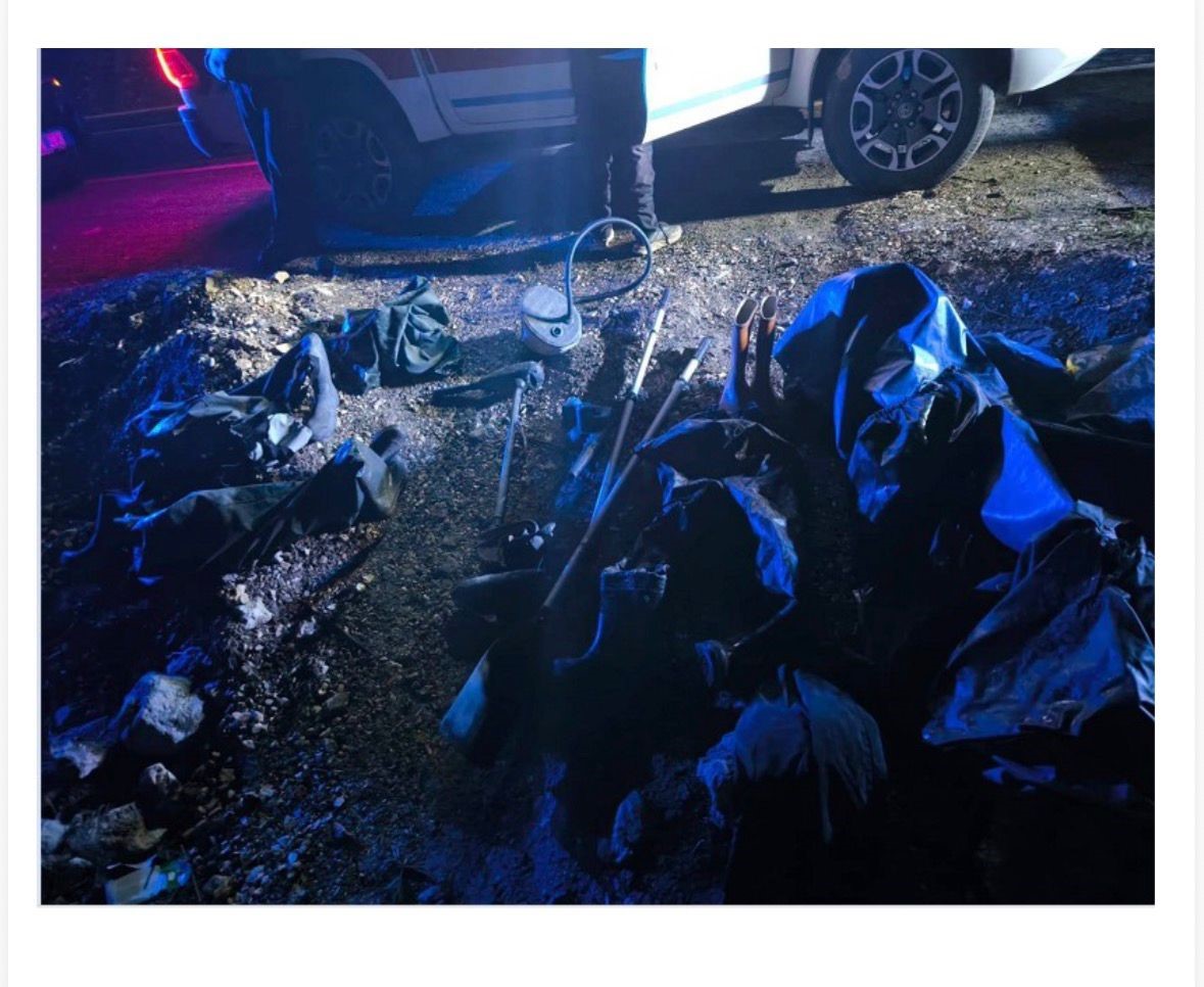 Bolu’da 250 kilo ağırlığındaki 100 canlı sazan balığı kurtarıldı
