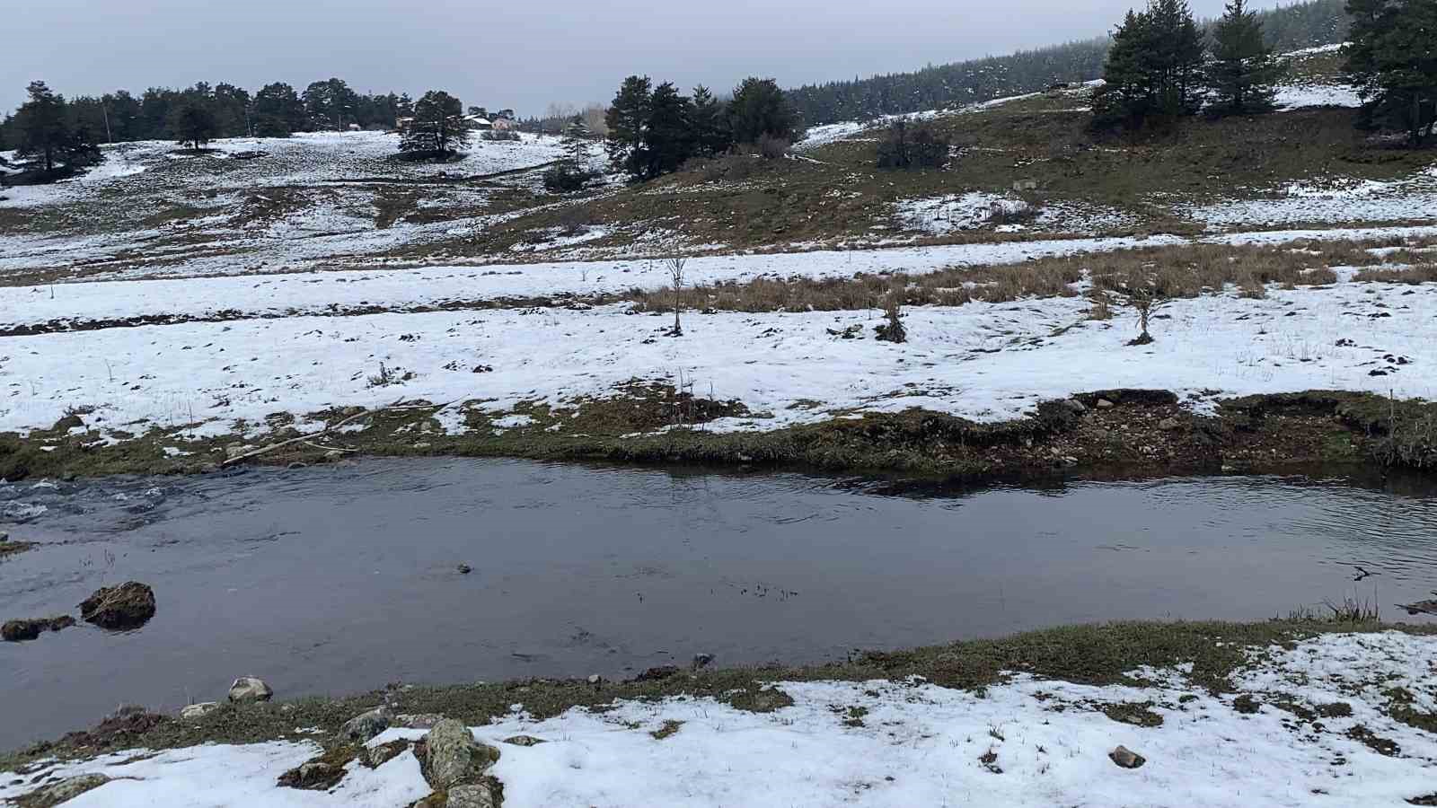 Bolu’da açan çiğdemler kar altında kaldı
