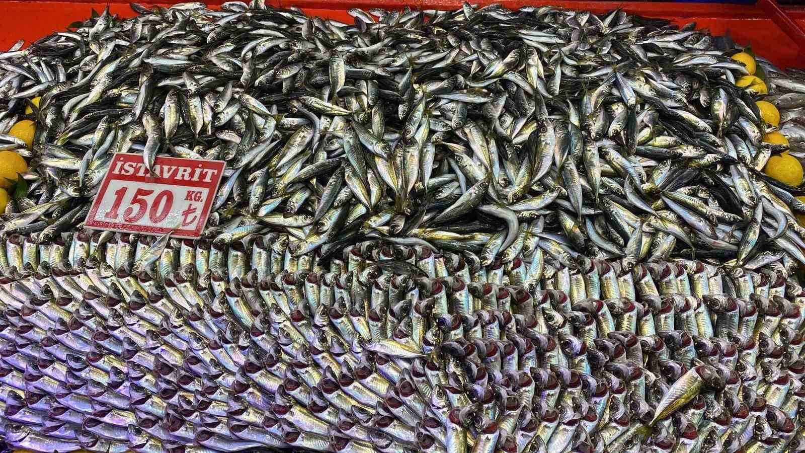 Bolu’da balık tezgahlarında hamsi bolluğu
