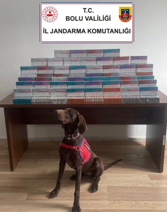 Bolu’da binlerce elektronik sigara kiti ele geçirildi

