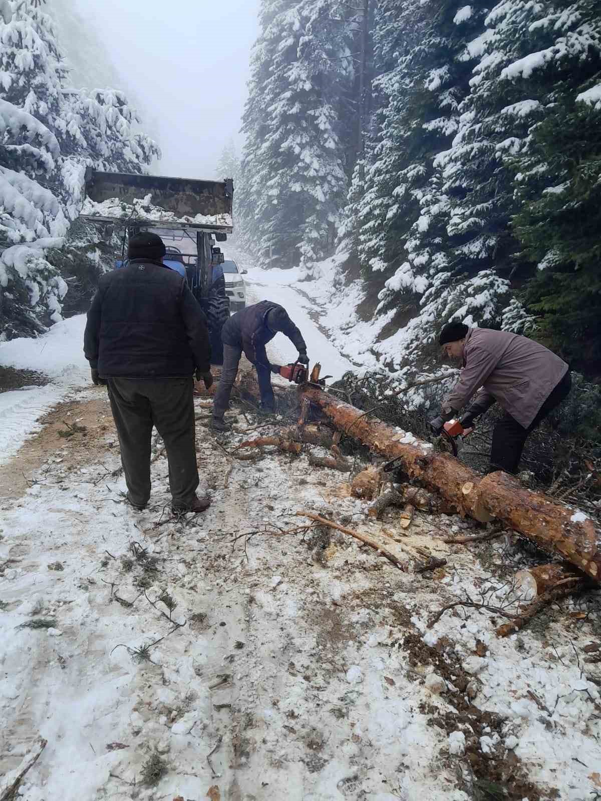 Bolu’da karla kaplanan yayla yollarını köylüler açtı
